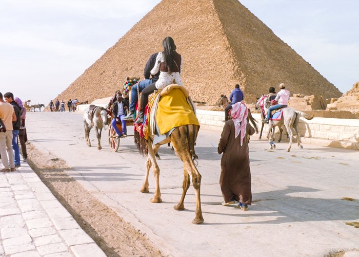 Camel Ride Trip at Giza Pyramids